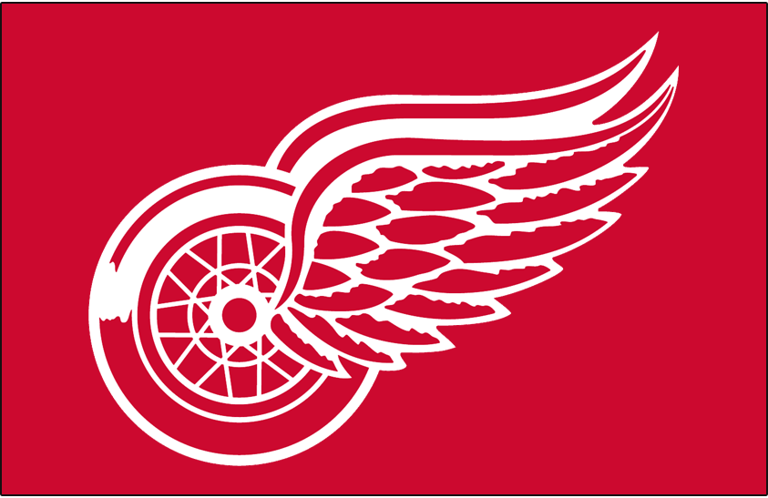 Jersey - Detroit Red Wings - J6011ECC-M