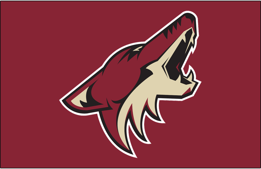 ALTERNATE A OFFICIAL PATCH FOR ARIZONA COYOTES REVERSE RETRO JERSEY –  Hockey Authentic