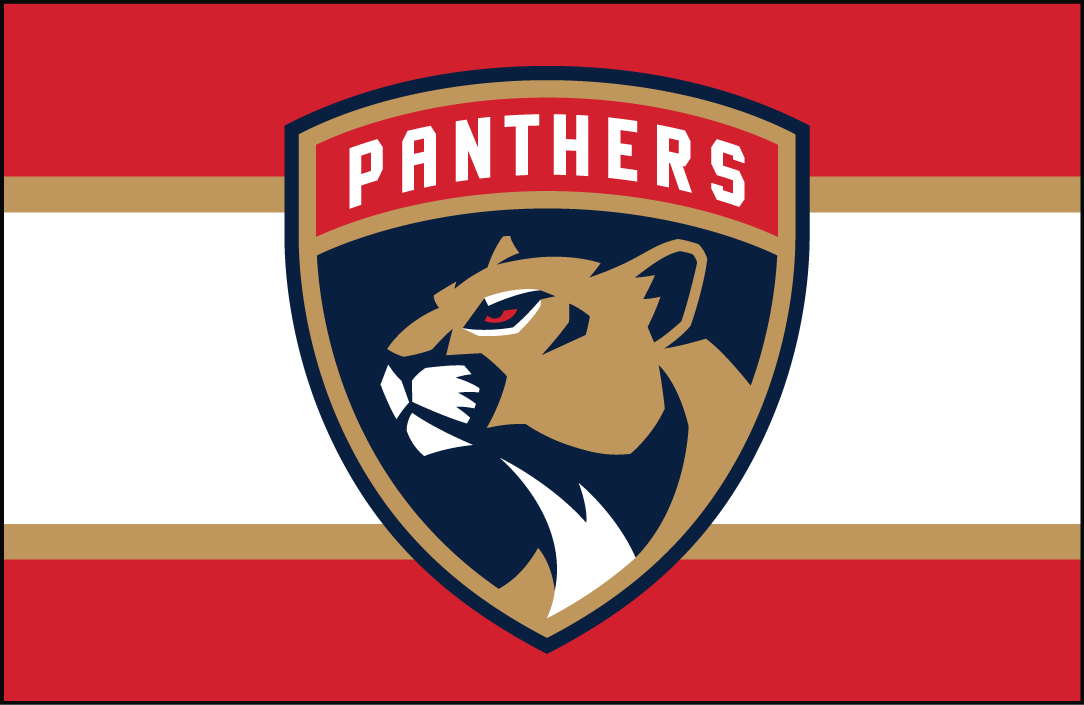 Florida Panthers alternate jersey