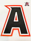 ALTERNATE "A" OFFICIAL PATCH FOR ANAHEIM DUCKS AWAY 2014-PRESENT JERSEY - Hockey Authentic