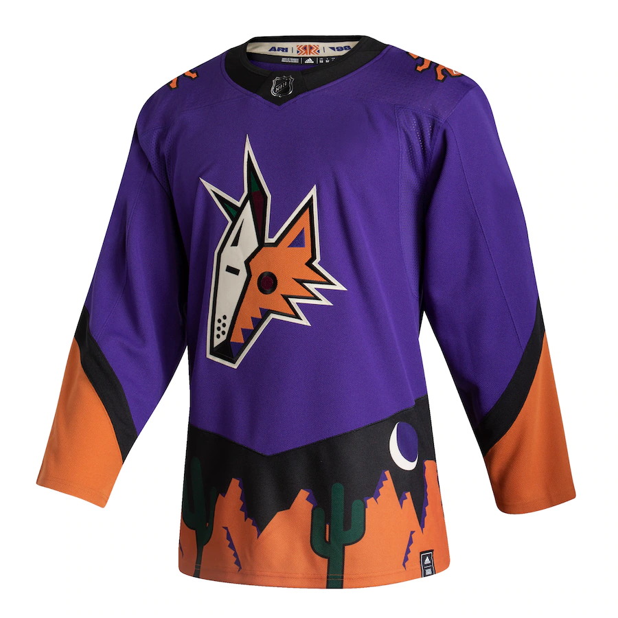 Arizona coyotes vintage jersey best sale