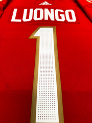 ROBERTO LUONGO FLORIDA PANTHERS AUTHENTIC PRO ADIDAS NHL JERSEY - Hockey Authentic