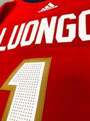 ROBERTO LUONGO FLORIDA PANTHERS AUTHENTIC PRO ADIDAS NHL JERSEY - Hockey Authentic